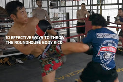 10 Effective Ways to Throw the Roundhouse Body Kick
