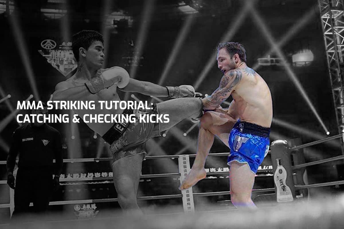 MMA Striking Tutorial: Catching & Checking Kicks
