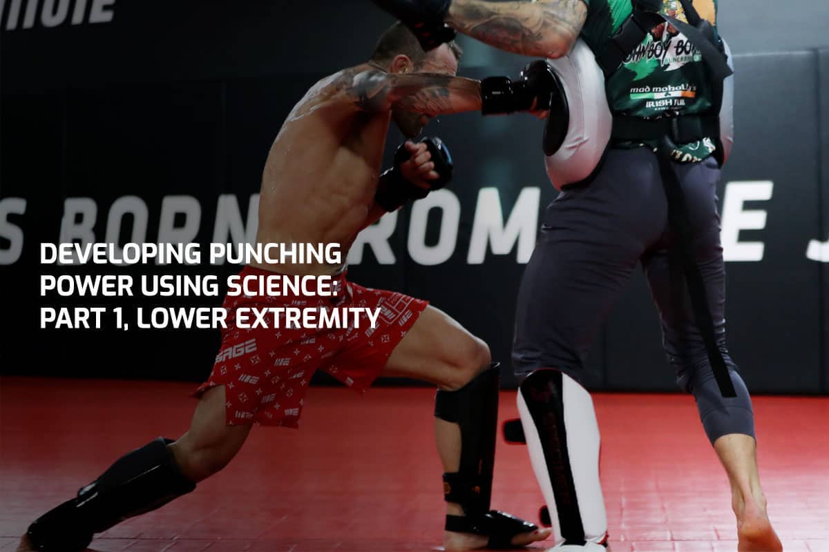 Developing Punching Power Using Science: Part 1, Lower Extremity