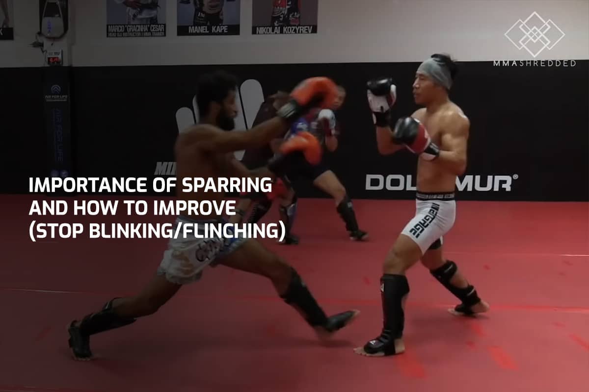 Sparring Rams Importance of Sparring and How to Improve