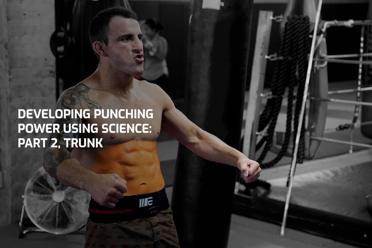Developing Punching Power Using Science: Part 2, Trunk